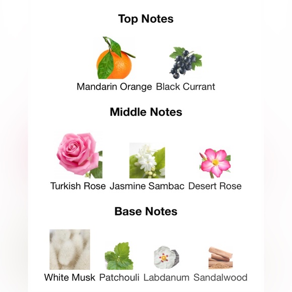 SERPENT BOHÉME edp by BOUCHERON (authentic) 2ml sample vial - Picture 3 of 5